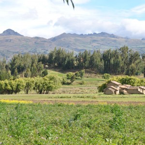 Vivienda Rural2